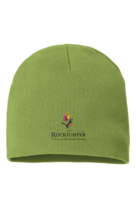 Birthday Sustainable Beanie (Green)