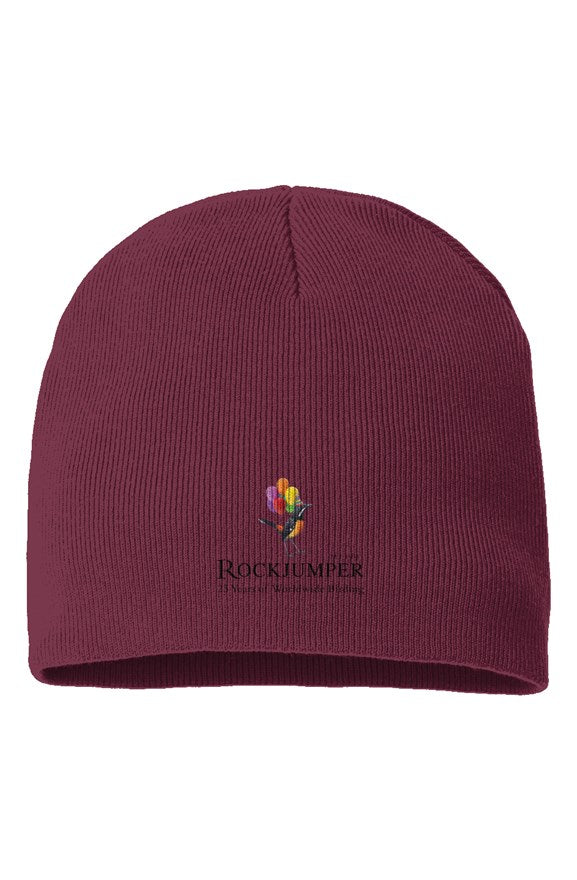 Birthday Sustainable Beanie (Burgundy)