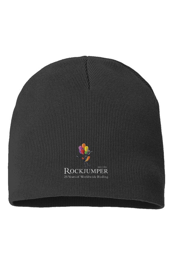 Birthday Sustainable Beanie (Black)