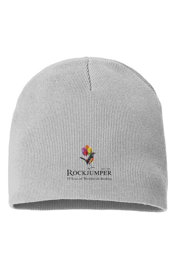Birthday Sustainable Beanie (Grey)