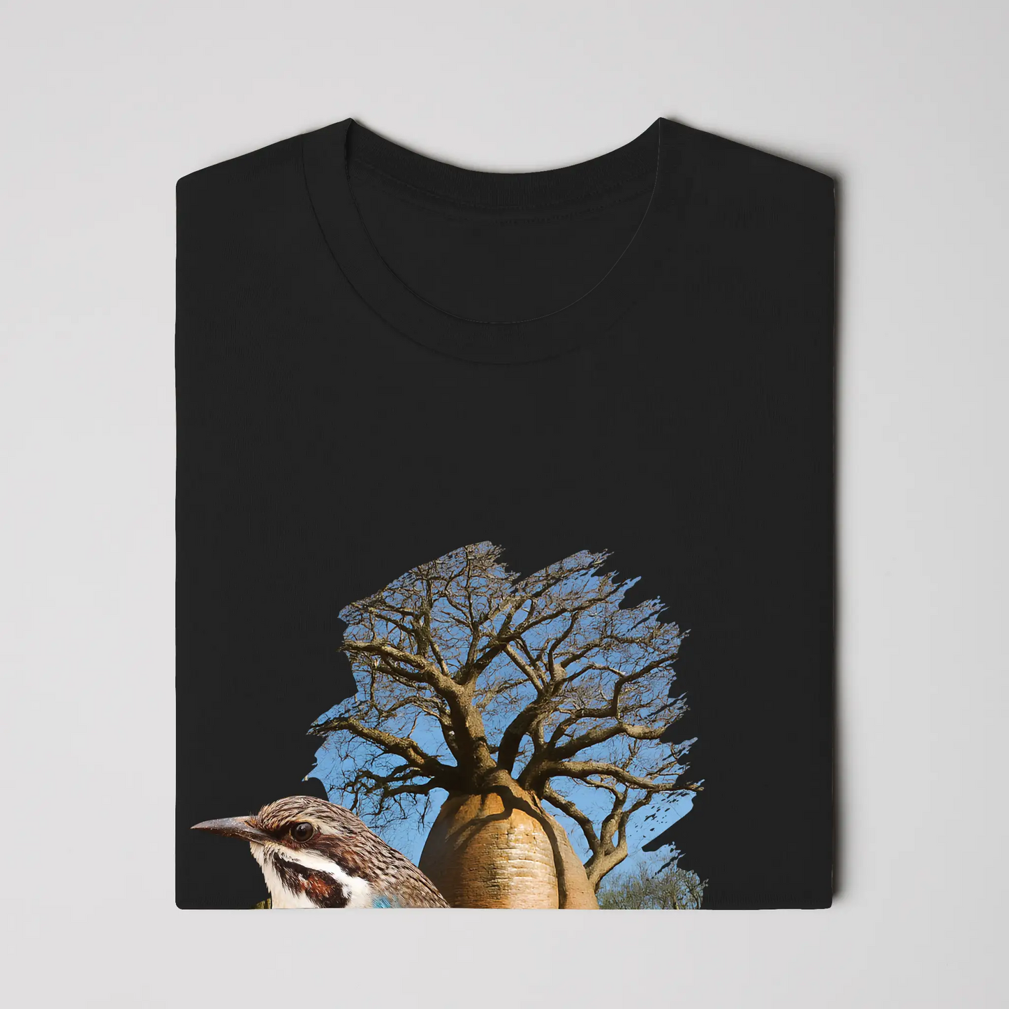 Madagascar Long-tailed Ground Roller T-Shirt Mens