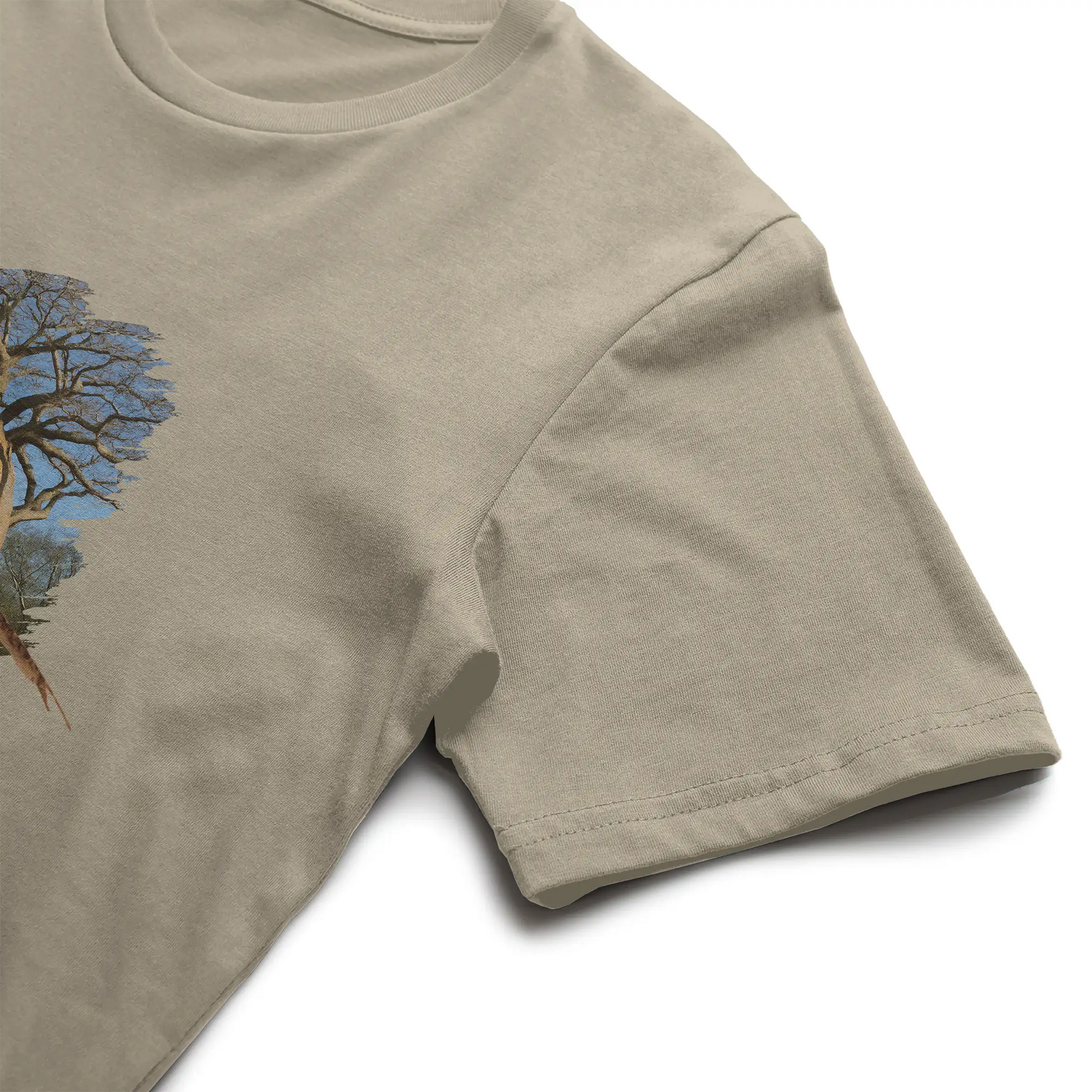 Madagascar Long-tailed Ground Roller T-Shirt Mens