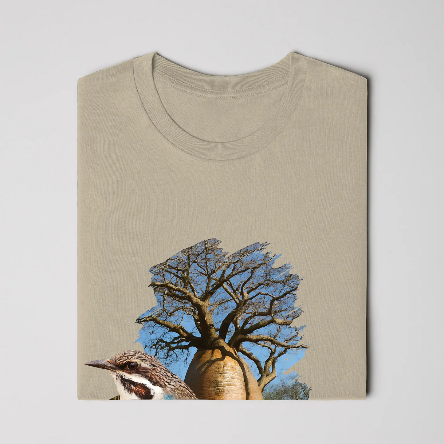 Madagascar Long-tailed Ground Roller T-Shirt Mens