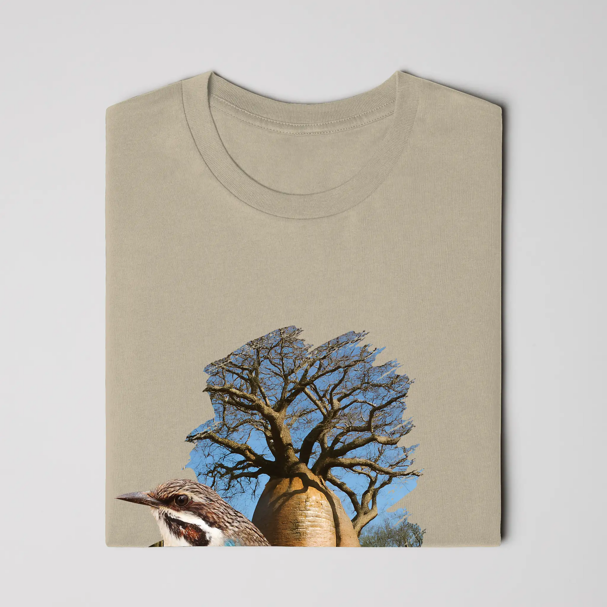 Madagascar Long-tailed Ground Roller T-Shirt Mens