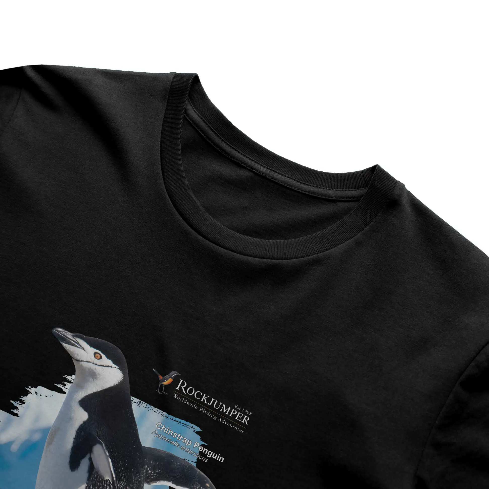 Antarctica Chinstrap Penguin T-Shirt Mens