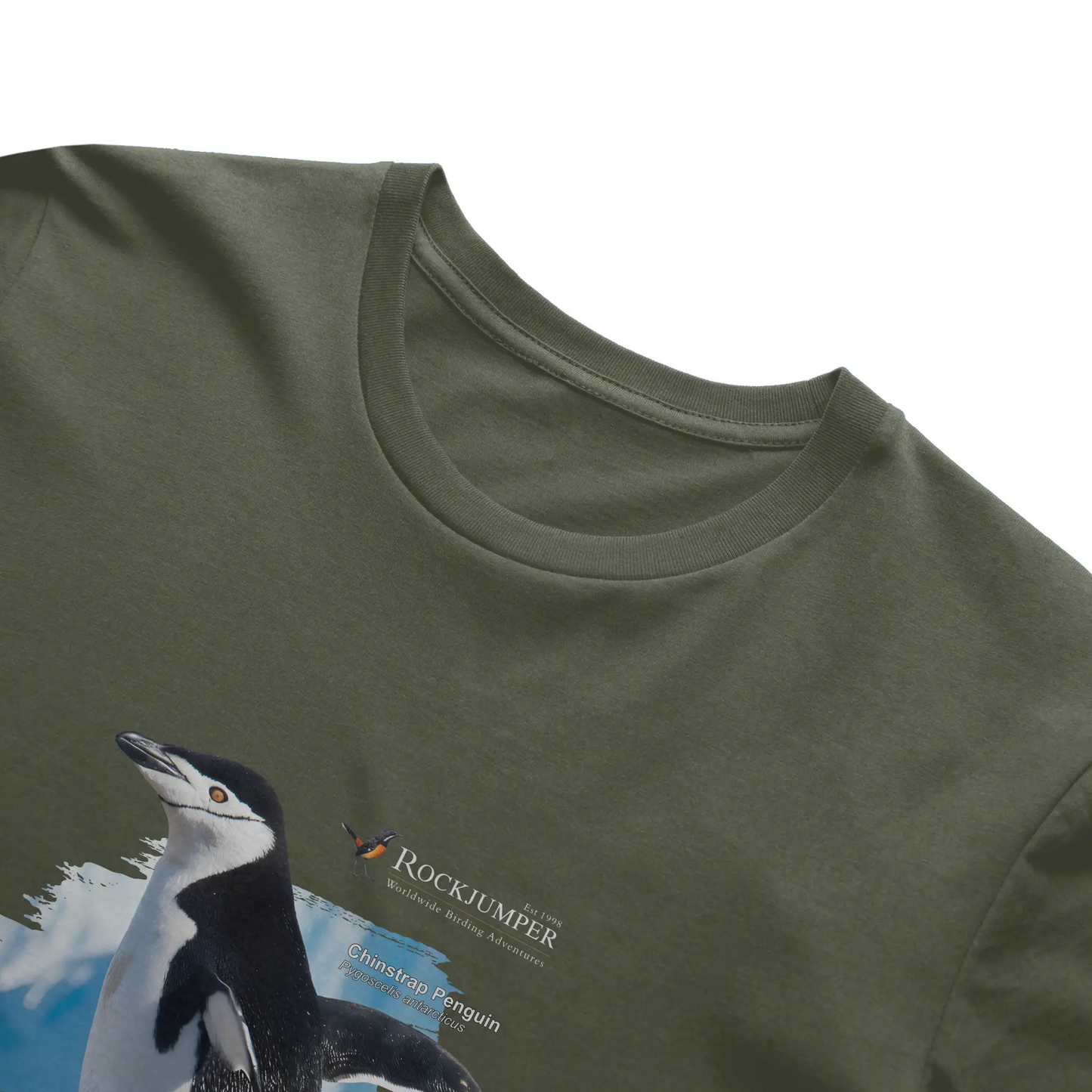 Antarctica Chinstrap Penguin T-Shirt Mens