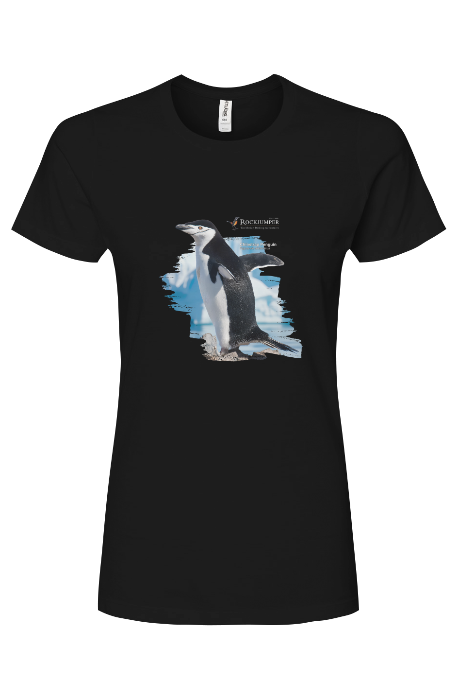 Antarctica Chinstrap Penguin T-Shirt Ladies