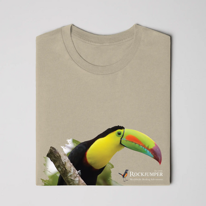 toucan 2