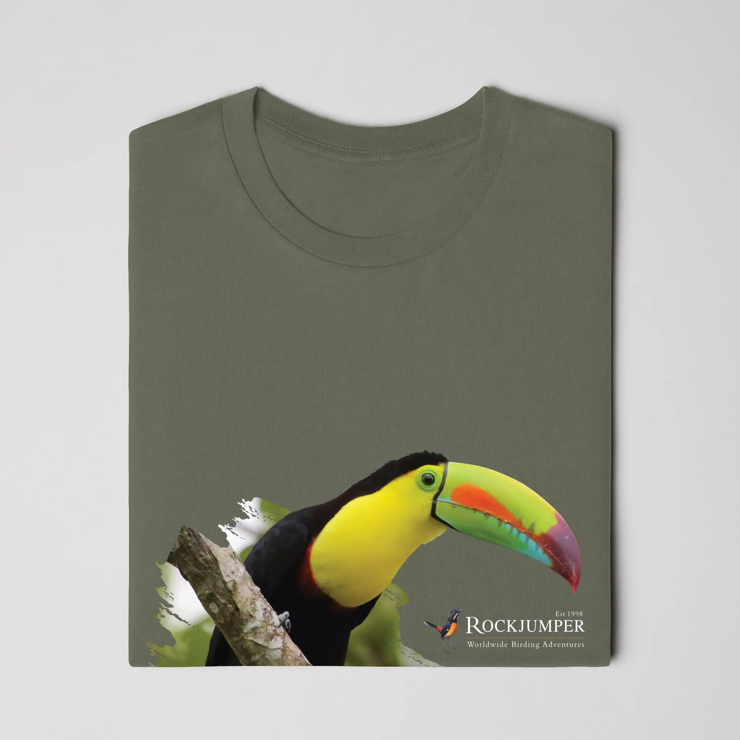 toucan 2