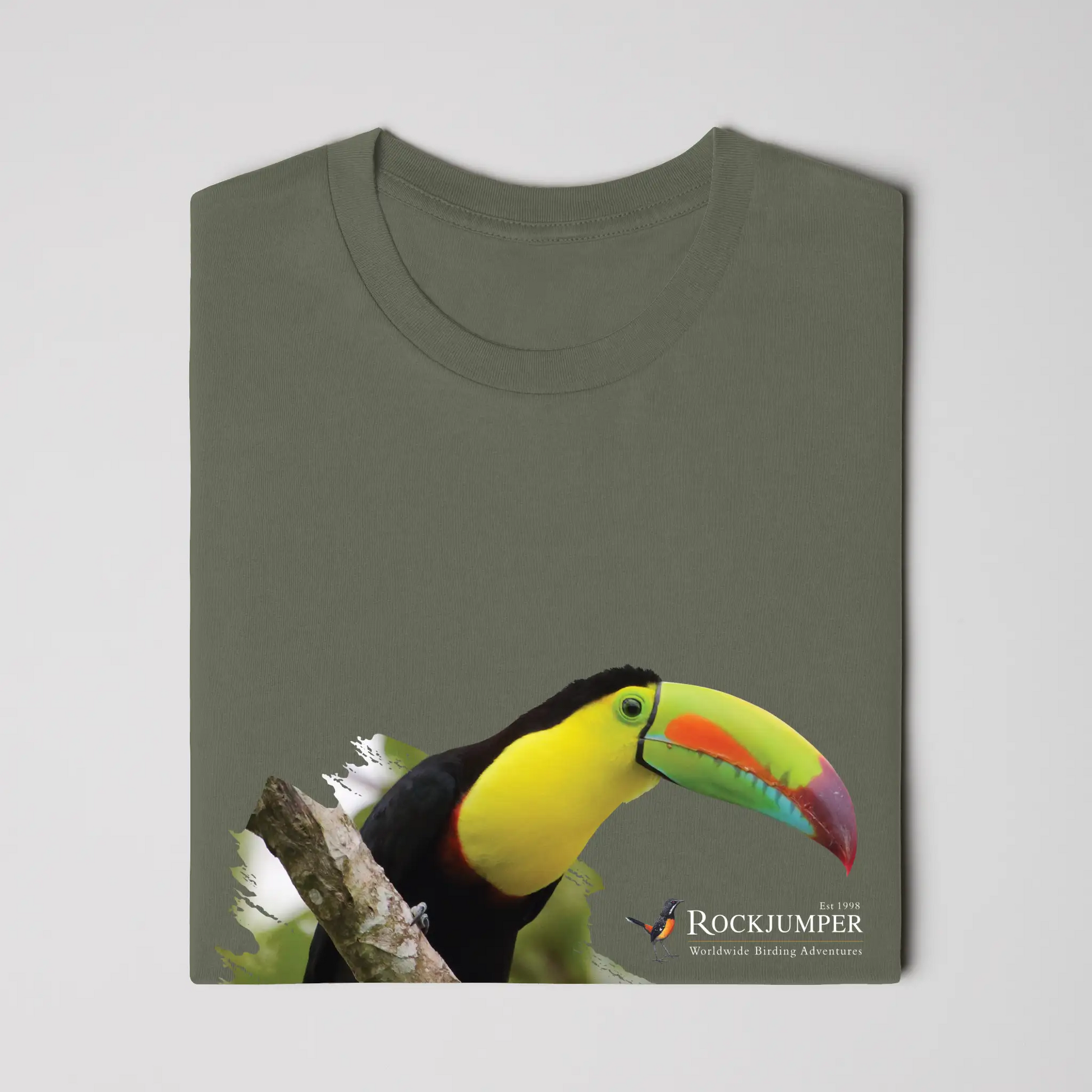 toucan 2