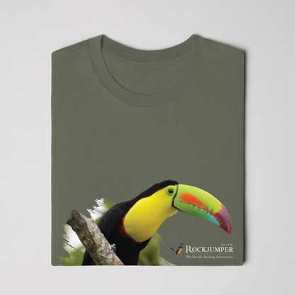 toucan 2