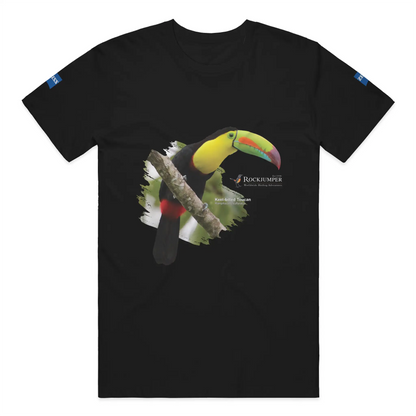 toucan 2