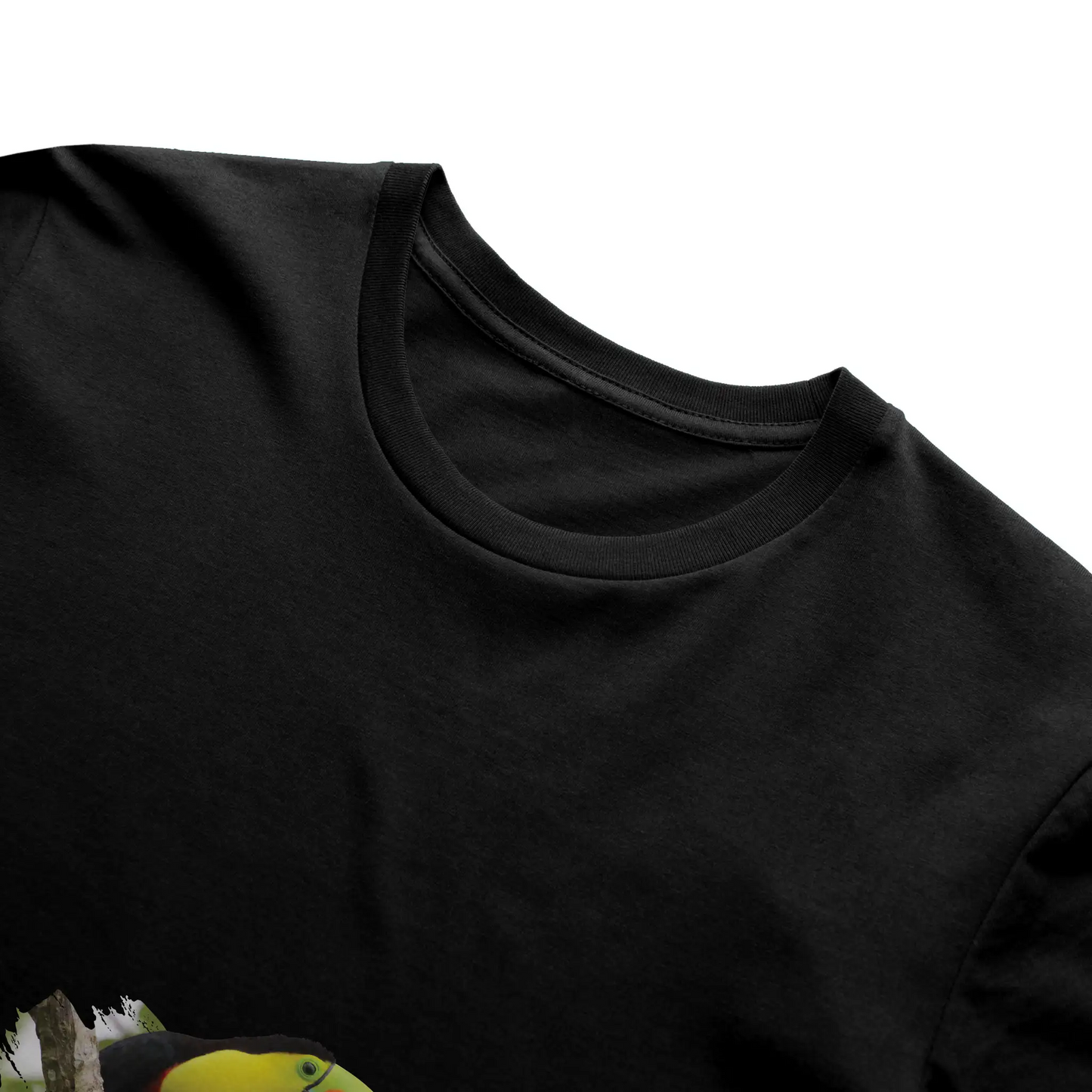 toucan 2