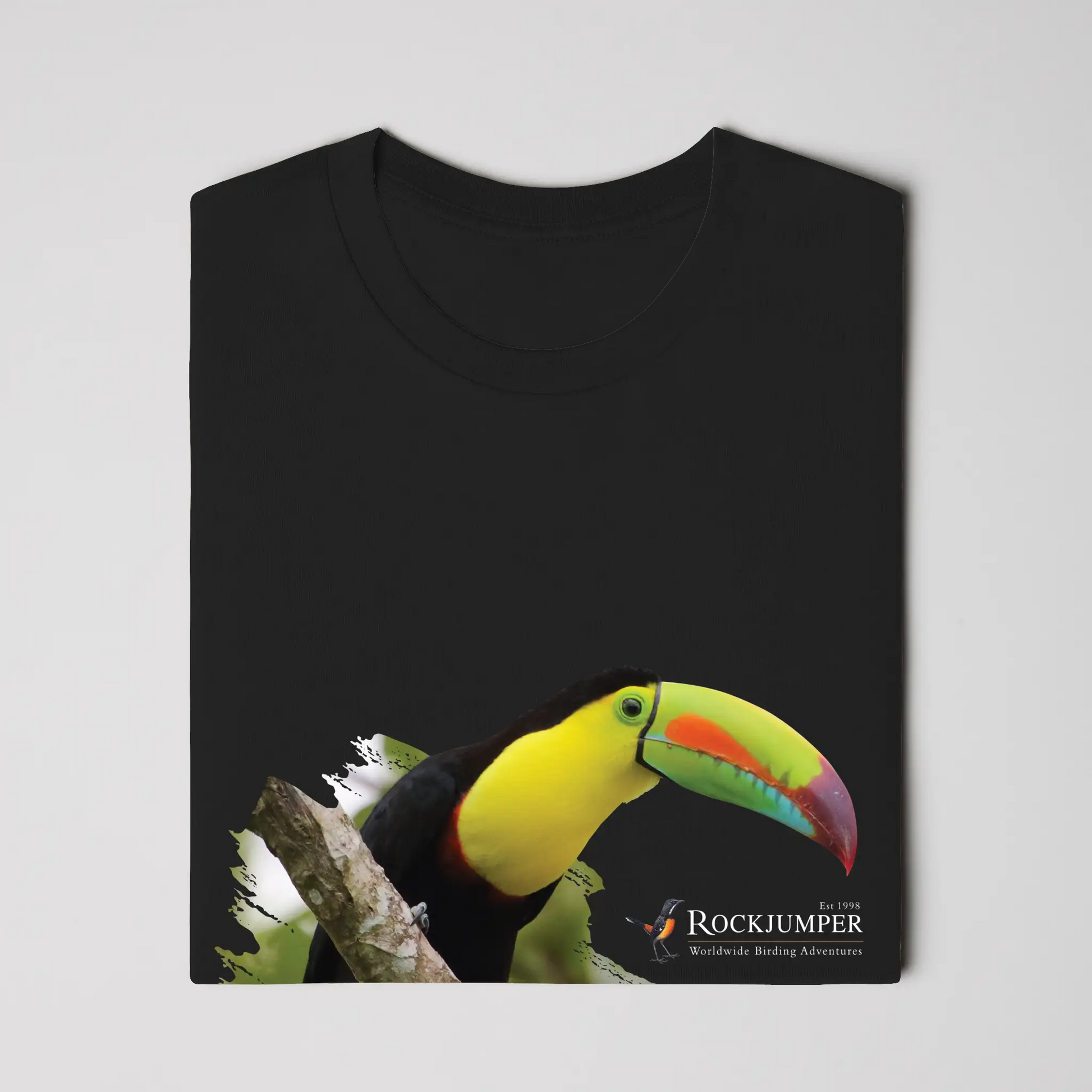 toucan 2
