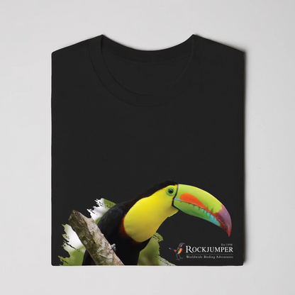 toucan 2