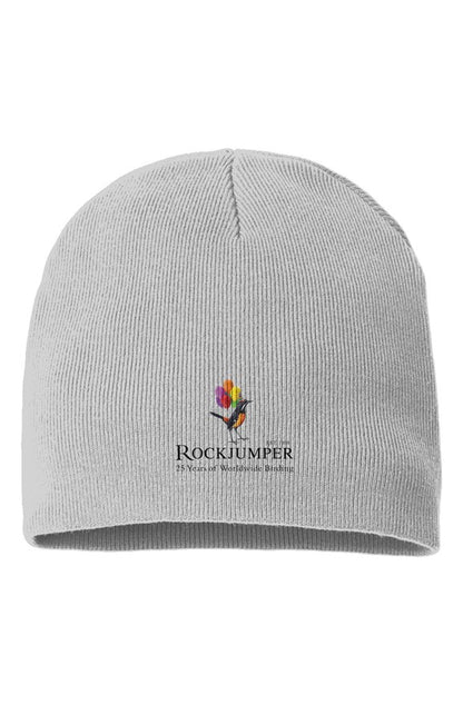 Birthday Sustainable Beanie (Grey)
