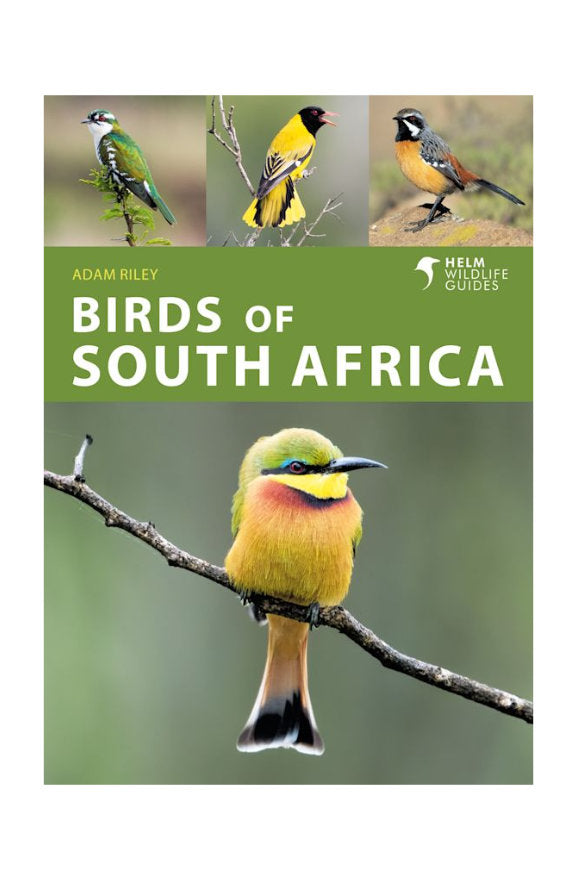 Birds of South Africa Guide Book by Adam Riley